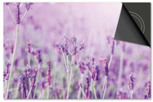 Lavendel veld Inductie Beschermer Exclusief SALE (90 x 52 cm)