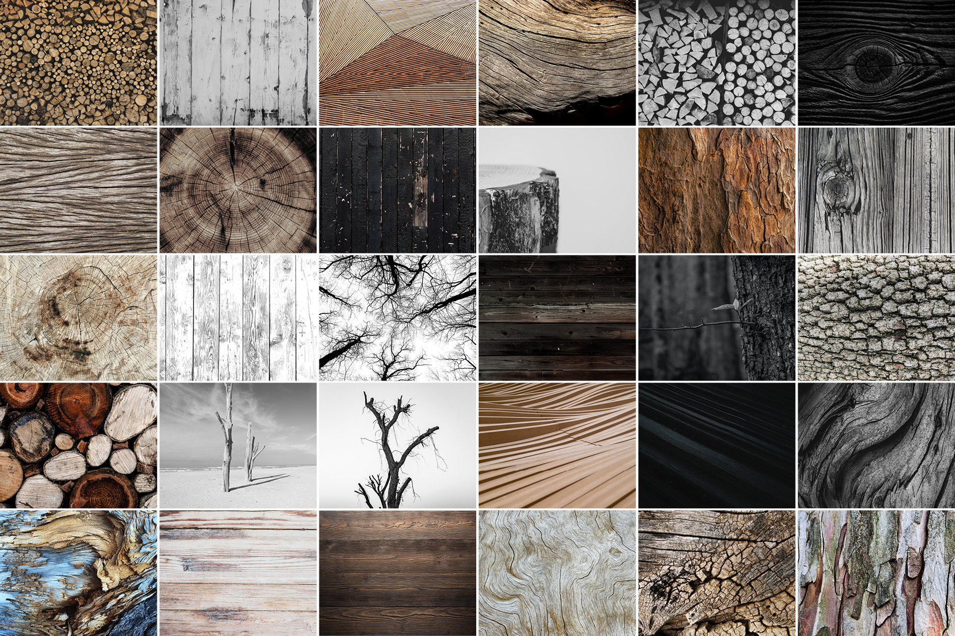 Hout en Boom Collectie