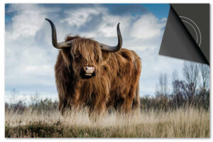 Schotse Hooglander Inductie Beschermer Exclusief SALE (59 x 52 cm)