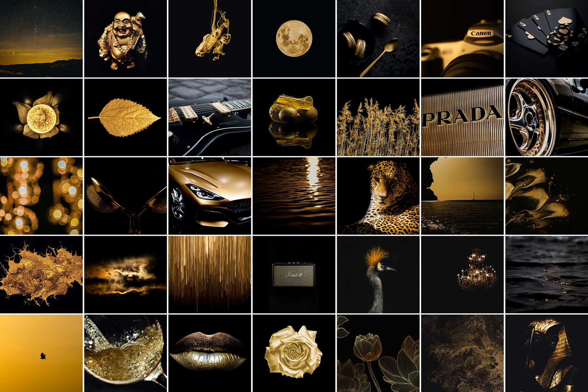 Black & Gold Collectie