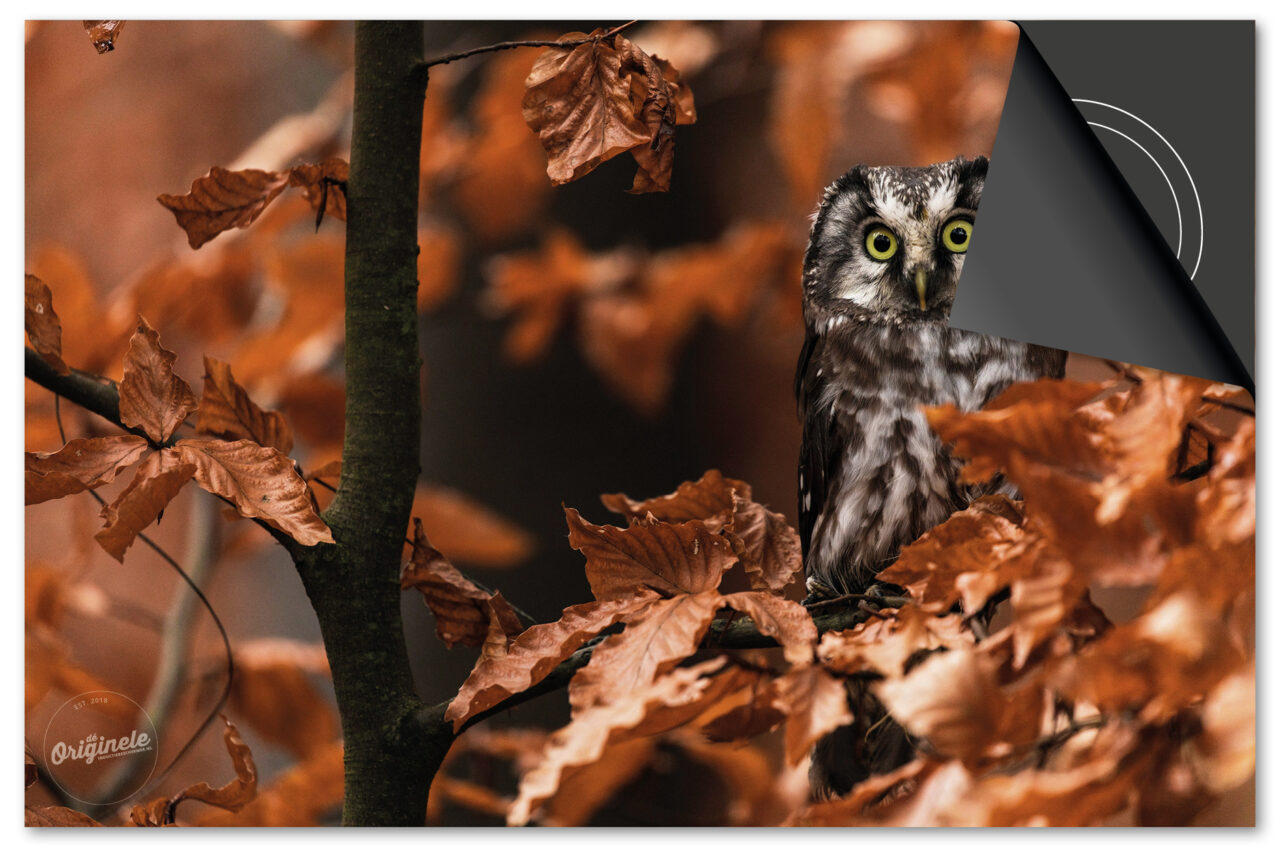 Kies uit de Herfst Collectie Inductie Beschermer