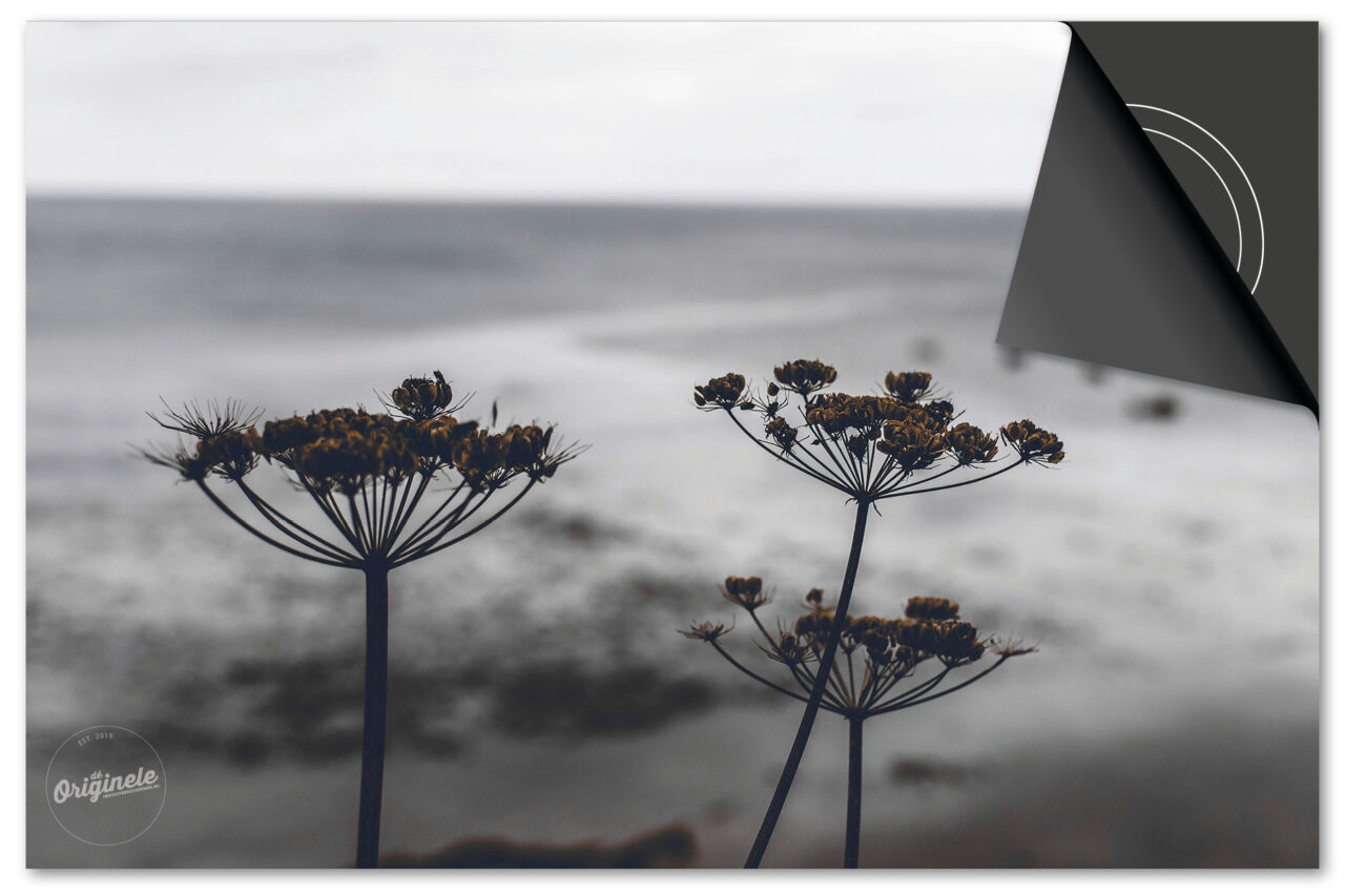 Kies uit de Herfst Collectie Inductie Beschermer