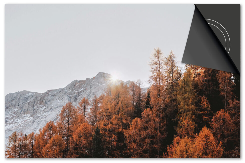 Kies uit de Herfst Collectie Inductie Beschermer