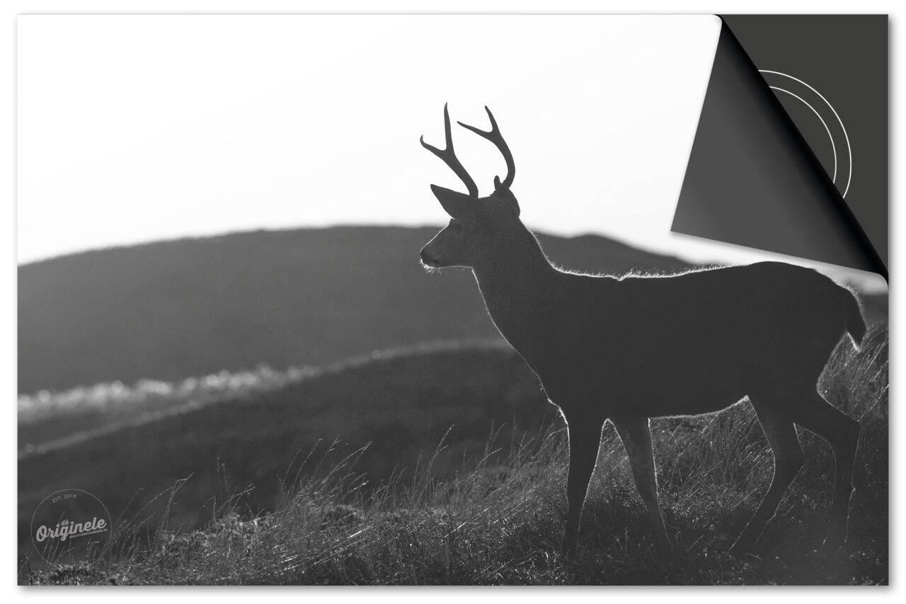 Kies uit de Herfst Collectie Inductie Beschermer