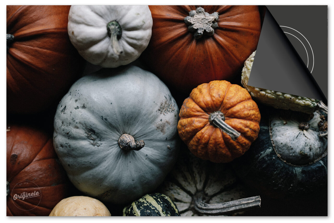 Kies uit de Herfst Collectie Inductie Beschermer