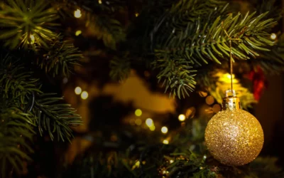 Breng kerstsfeer in de keuken met je Inductie Beschermer