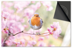 Vogel Bloesem Inductie Beschermer Exclusief SALE (60x52 cm)