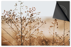 Naturel Bloemetjes Inductie Beschermer Exclusief SALE (76 x 51,5 cm)