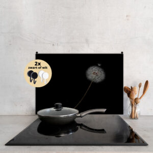 Ophanghaakjes 2x voor Spatscherm • zwart of wit