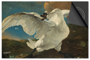 Zwaan Schilderij Inductie Beschermer Exclusief SALE (65x52cm)